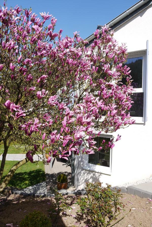 Ferienwohnung "Magnolia" Kordel Esterno foto